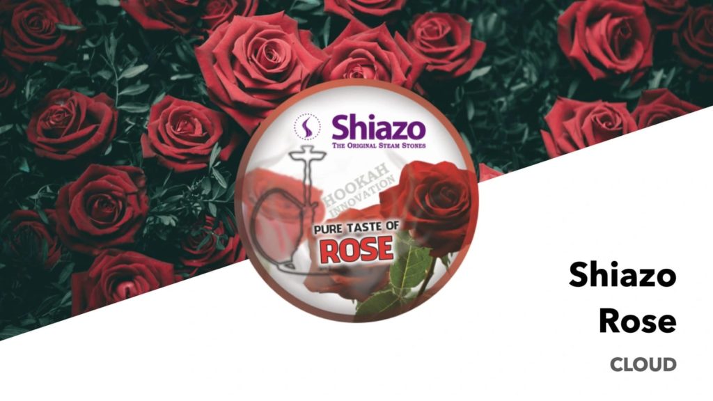 shiazo - rose