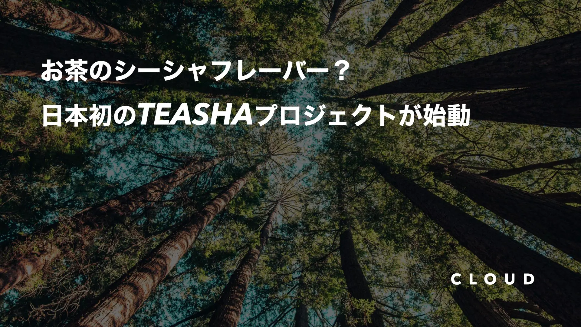 日本初のフレーバーブランド”TEASHA”が始動