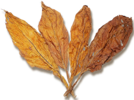 blonde leaf tobacco
