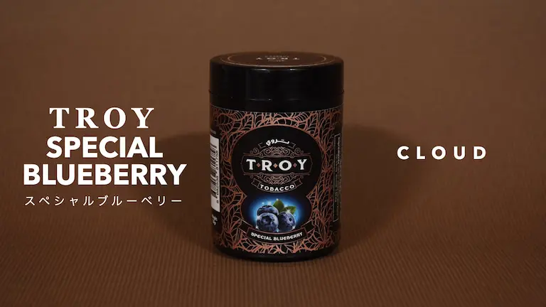 TROY – SPECIAL BLUEBERRY(スペシャルブルーベリー)レビュー