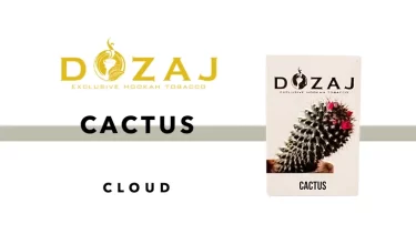 DOZAJ – Cactus(カクタス)レビュー