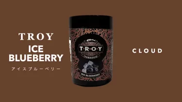 TROY – Ice Blueberry(アイスブルーベリー)レビュー