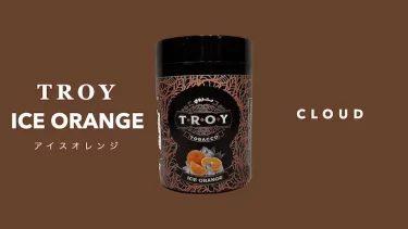 troy トロイ　iceorange アイスオレンジ　シーシャフレーバーレビュー　おすすめミックス
