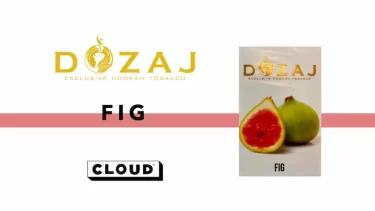 DOZAJ – Fig(フィグ)レビュー
