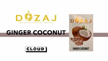 DOZAJ – Ginger Coconuts(ジンジャーココナッツ)レビュー