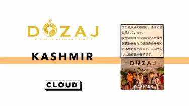 DOZAJ – Kashmir(カシミール)レビュー
