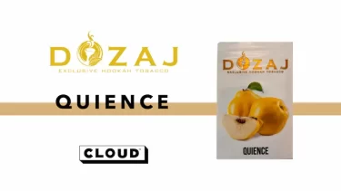 DOZAJ – Quience(クインス)レビュー
