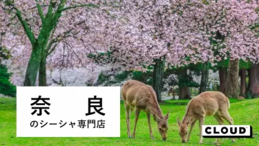 奈良にあるシーシャ(水タバコ)バー・カフェまとめ