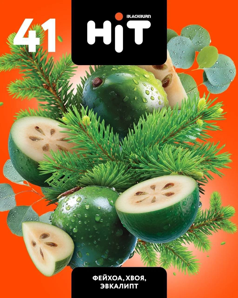 Hit No.41「Фейхоа(Feijoa / フェイジョア)、Хвоя(Pine Needles / 針葉樹)、Эвкалипт(Eucalyptus / ユーカリ)」